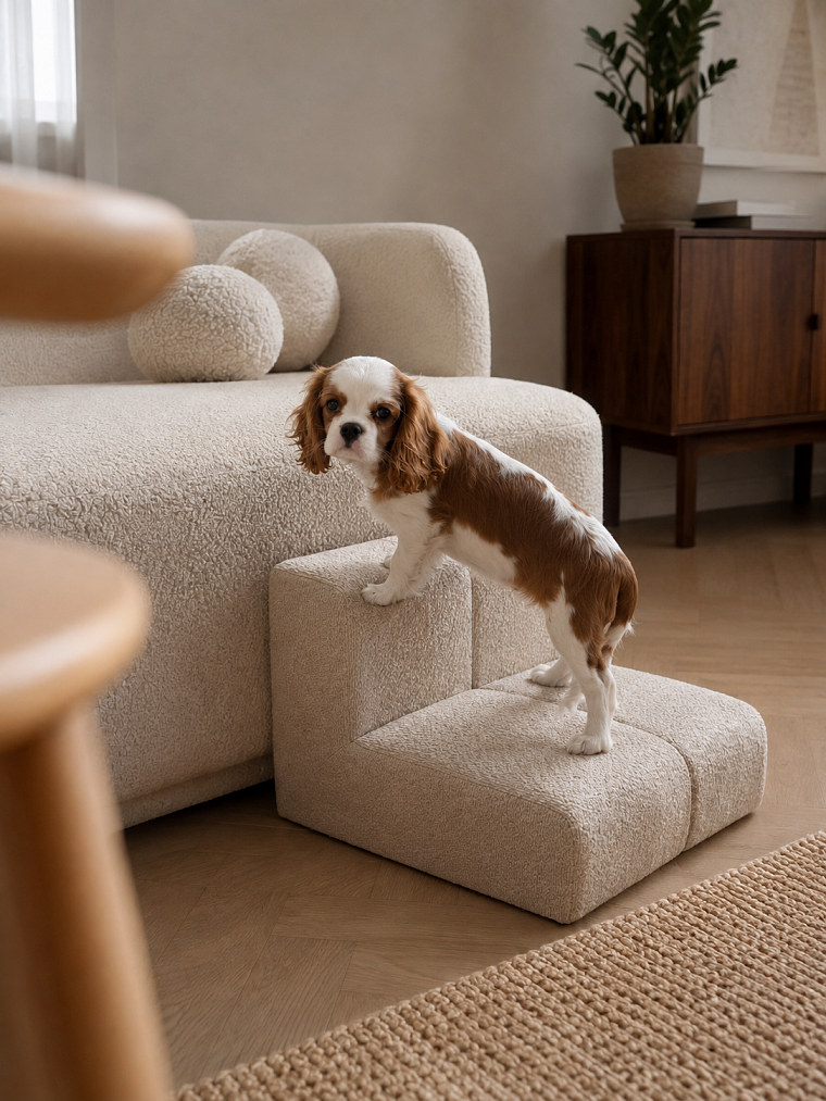 Собака на мягкой лестнице AngelOliver Comfort Stairs